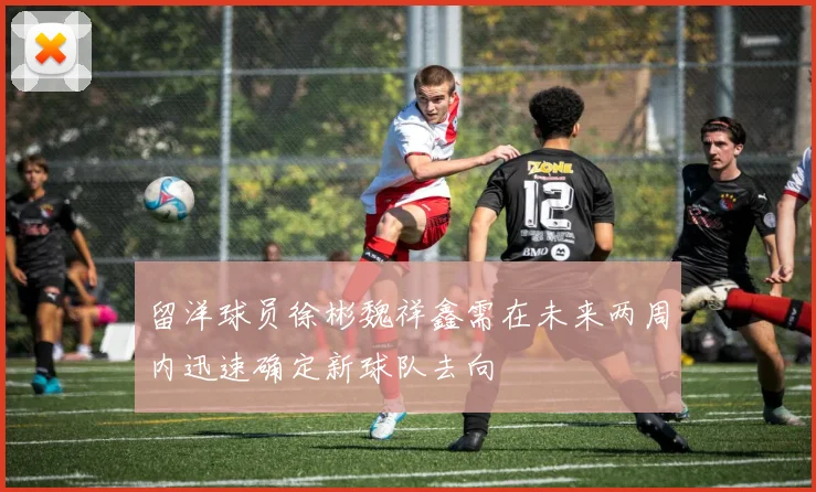 留洋球员徐彬魏祥鑫需在未来两周内迅速确定新球队去向